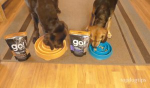 Petcurean Go! Meal Mixers Review