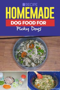 Recipe - Homemade Dog Food for Picky Dogs