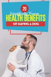 The 20 Proven Health Benefits of Having a Dog