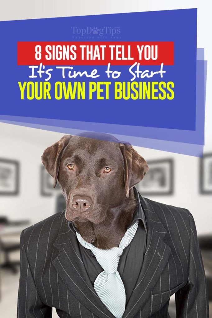 The 8 Signs That Tell You It’s Time to Start Your Own Pet Business