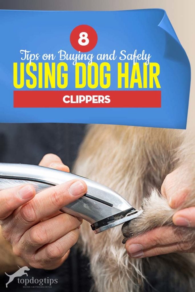 The 8 Tips on Buying and Safely Using Dog Hair Clippers