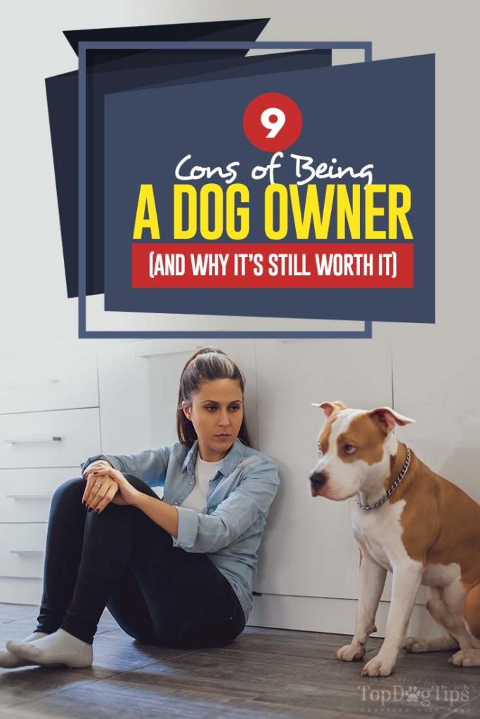 The 9 Cons of Being a Dog Owner (And Why It’s Still Worth It)