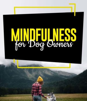 The Guide to Mindfulness for Dog Owners