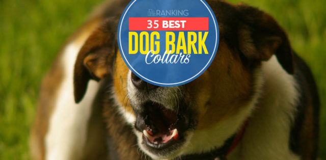 Top 35 Best Dog Bark Collar Options in 2019