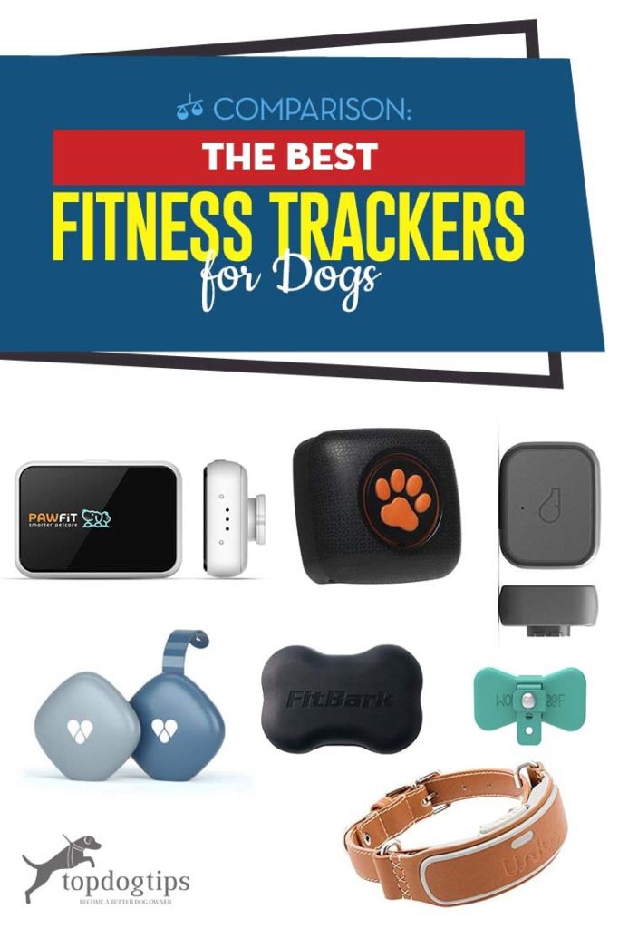 Top Rated Best Fitness Trackers for Dogs