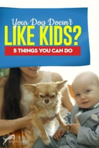 Your Dog Doesn’t Like Kids - Top 5 Things You Can Do