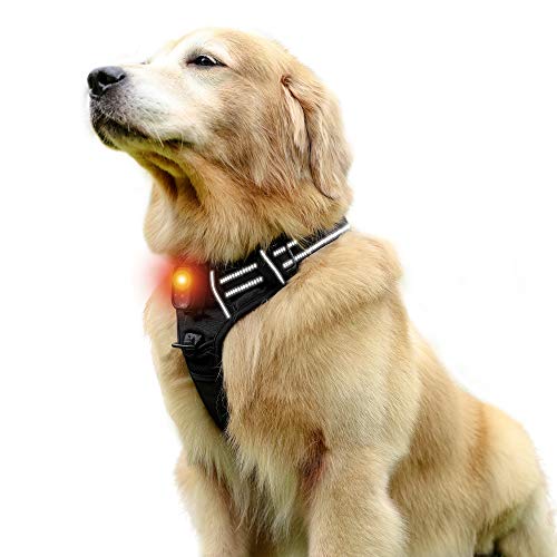 Rabbitgoo LED Dog Harness