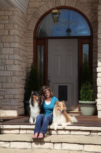 PetSafe Panel Pet Door Insert