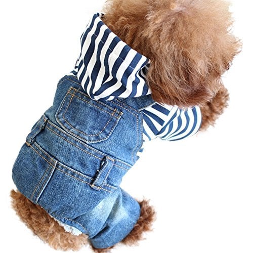 Cool Denim Jumpsuit for dogs on Amazon