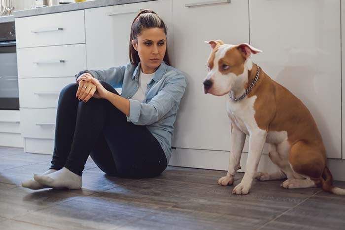 9 Cons of Being a Dog Owner (And Why It’s Still Worth It)