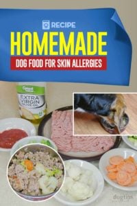 Best Homemade Dog Food for Skin Allergies Recipe