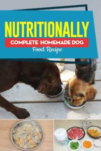 Cooking Guide - Nutritionally Complete Homemade Dog Food