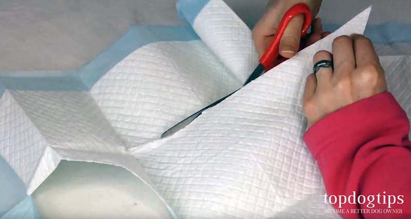 Cutting dog pee pads to create diapers