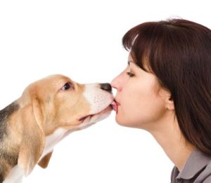 Dogs can lead to diseases and infections