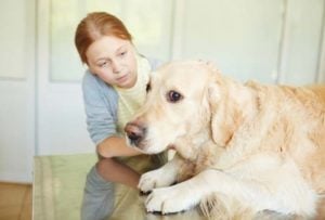 Fear of Children in Dogs