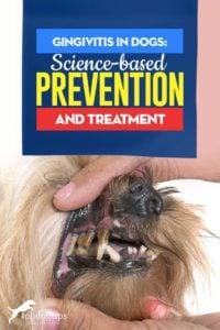 Gingivitis in Dogs Tips - Science-based Prevention and Treatment