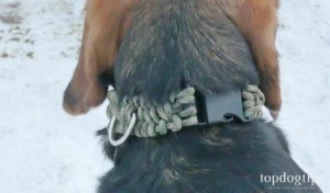 You will need about 2' for paracord for every inch of the DIY dog collar.