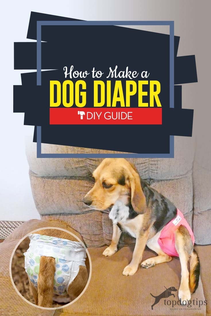 How to Make a Dog Diaper the Cheap and Easy Way