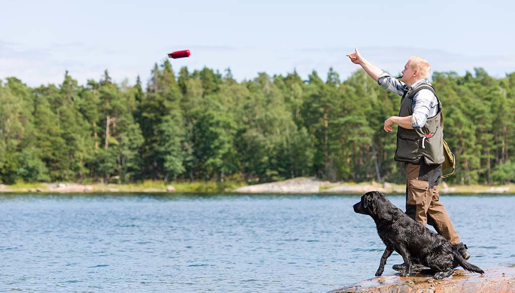 Hunting Dog Training - The Ultimate Guide