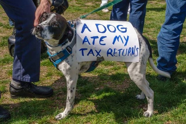 IRS Tax Deductions for Dog Owners