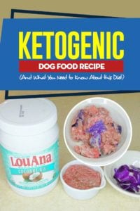 Ketogenic Dog Food Recipe (And What You Need to Know About this Diet)