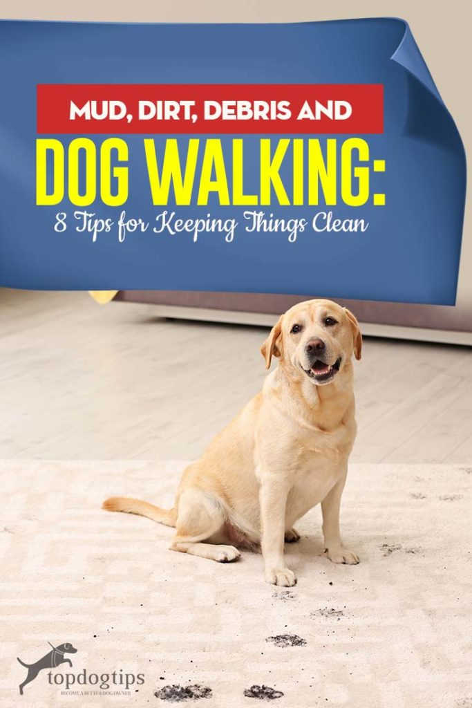 Mud, Dirt, Debris and Dog Walking - Best 8 Tips for Keeping Things Clean