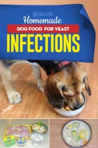 My Best Homemade Dog Food for Yeast Infections