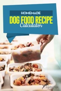 My Homemade Dog Food Recipe Calculator