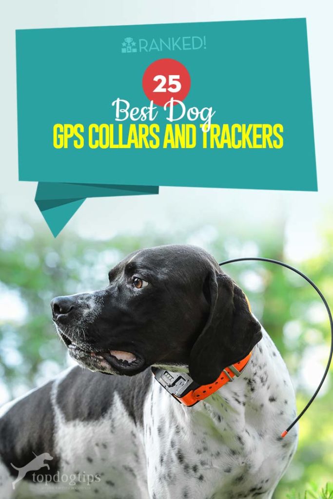 The 25 Best Dog GPS Collar Trackers