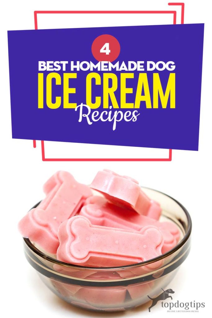 Top 4 Best Homemade Dog Ice Cream Recipes