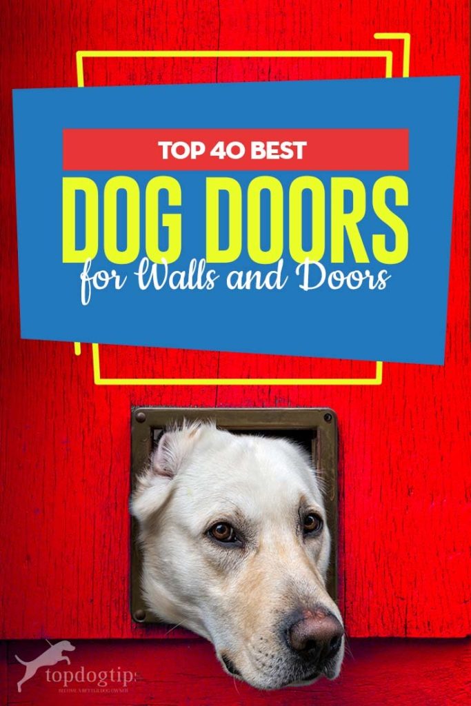 Top Rated Dog Door 2020