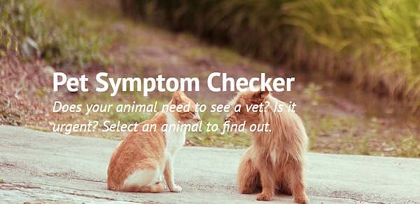 Vets4Pets Symptom Checker