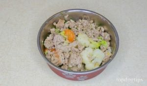 homemade dog food recipe skin allergies