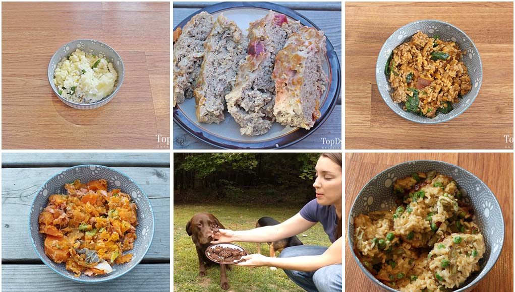 15 of My Personal Favorite Dog Food Recipes