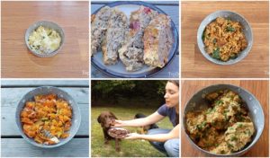 15 of My Personal Favorite Dog Food Recipes