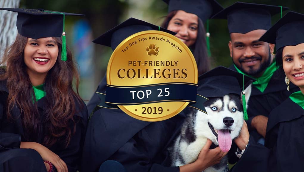 25 Most Pet-Friendly Colleges