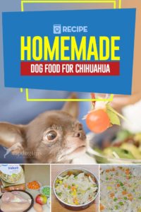 Best Homemade Dog Food for Chihuahua Recipe