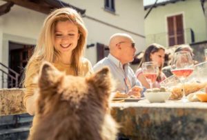 Dogs with Guests in the Home