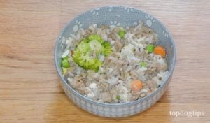 Homemade Dog Food for Urinary Tract Health