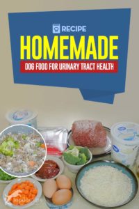 Homemade Dog Food for Urinary Tract Health Recipe