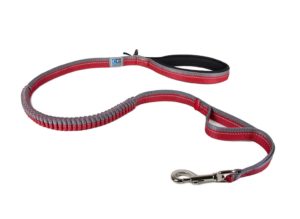 RC Pet Products Bungee Leash