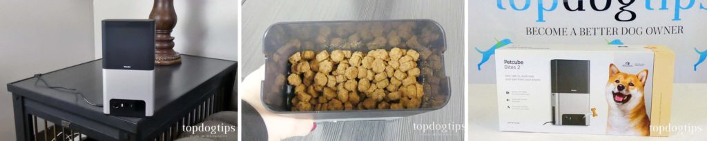 Review of Petcube Bites 2