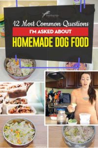 The 12 Most Common Questions I'm Asked About Homemade Dog Food