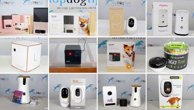 Top 10 Best Dog Cameras 2020