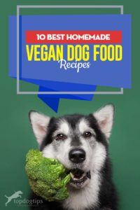 Top 10 Best Homemade Vegan Dog Food Recipes