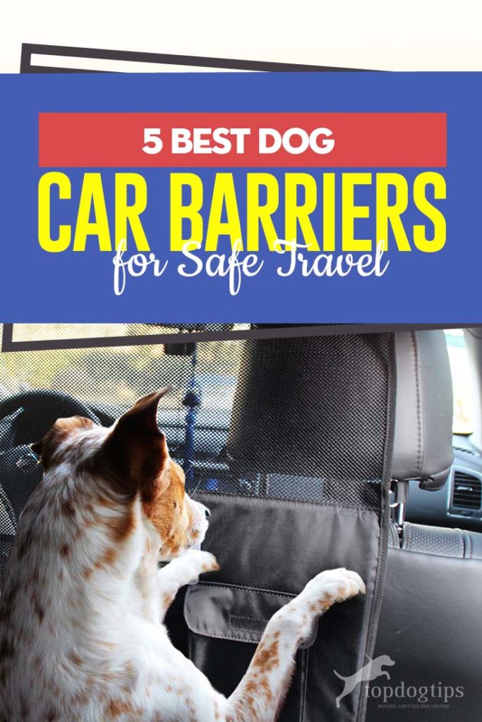 Top 5 Best Dog Car Barriers for Safe Travel