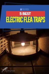 Top 5 Best Electric Flea Traps