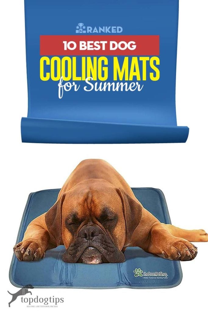 10 Top Rated Best Dog Cooling Mats for Summer