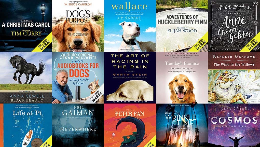 15 Best Audiobooks for Dogs