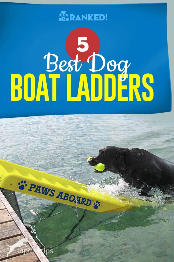 5 Top Rated Best Dog Boat Ladder Brands